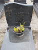Mertens Jan